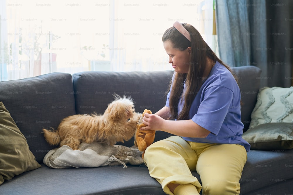 Junge brünette Frau in Freizeitkleidung, die Plüschtier hält, während sie auf der Couch sitzt und mit einem Hund in der Freizeit im Wohnzimmer spielt