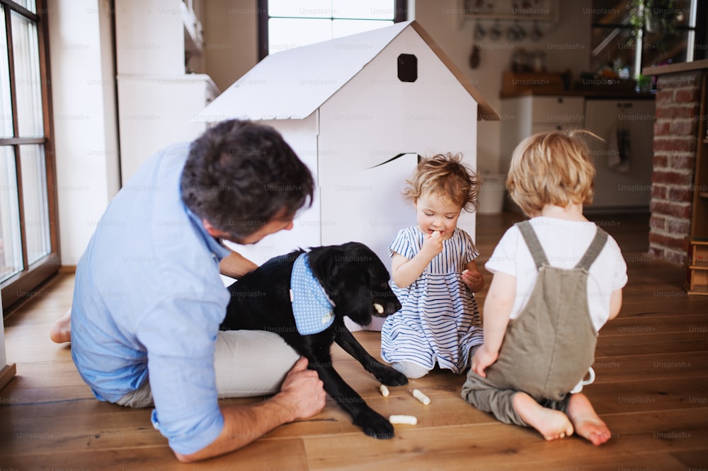 Father and two toddler children with a dog and carboard house playing indoors at home.