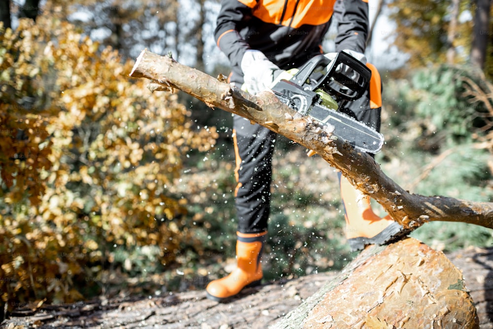 Madeireiro em roupa de trabalho protetora serrando com galhos de motosserra de um tronco de árvore na floresta, close-up sem rosto