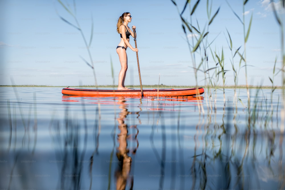 Femme paddleboard sur le lac avec des roseaux et de l’eau calme pendant la lumière du matin