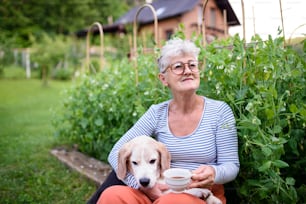 Portrait of senior woman with coffee sitting outdoors in garden, pet dog friendship concept.
