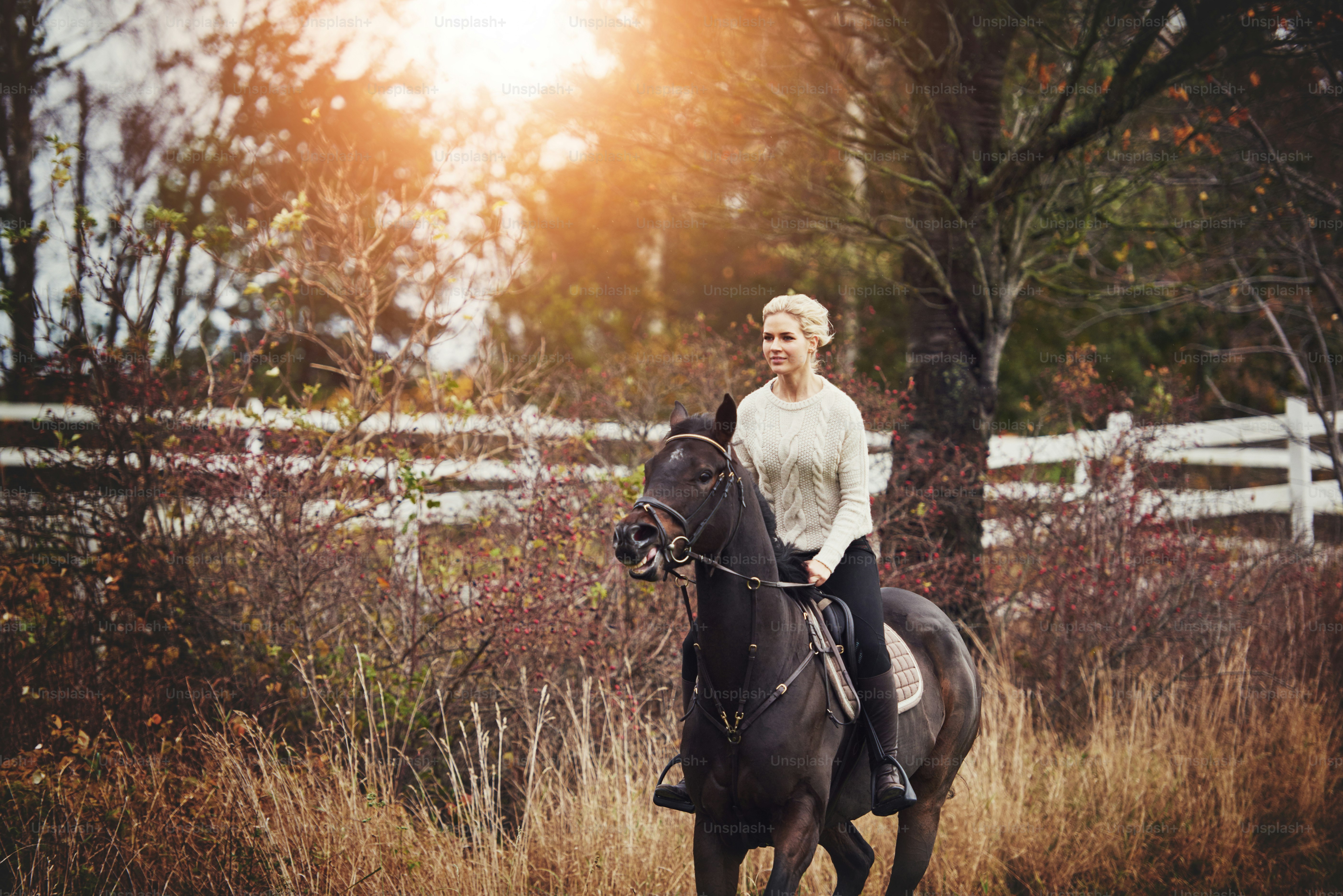 Mulher nova em equipamento de equitação galopando seu cavalo castanheiro sozinho através do campo no outono