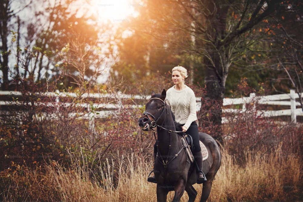 Giovane donna in tenuta da equitazione che galoppa il suo cavallo di castagno da sola attraverso la campagna in autunno