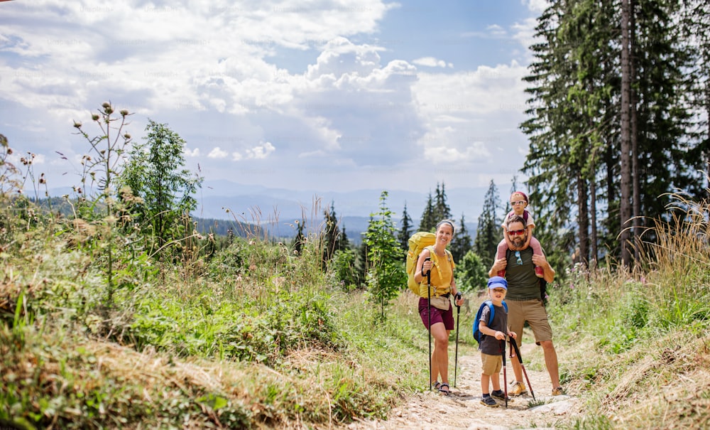 Vue de face d’une famille avec de jeunes enfants faisant de la randonnée en plein air dans la nature estivale.