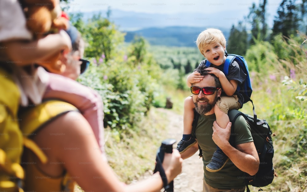 夏の自然の中で屋外でハイキングをする小さな子供連れの幸せな家族。