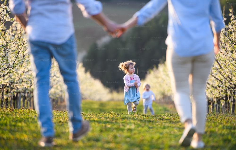 Vista frontal de una familia con dos niños pequeños en un paseo al aire libre en un huerto en primavera.