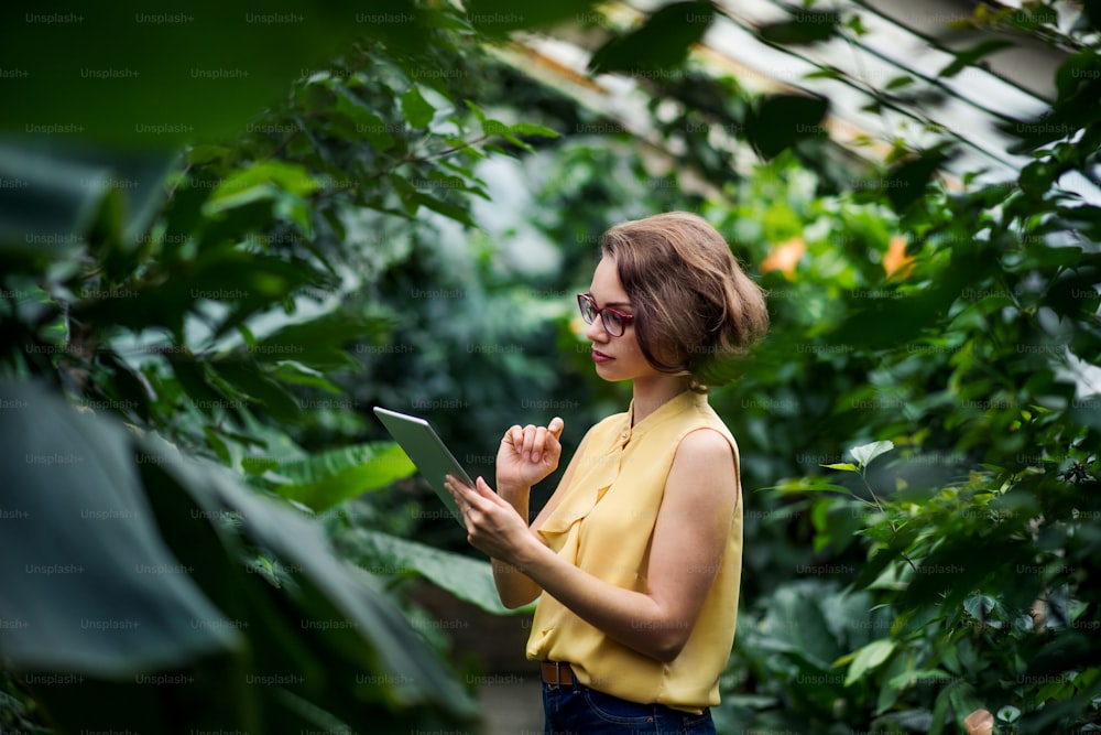 Una mujer joven de pie en un invernadero en un jardín botánico, usando una tableta.