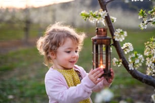 Happy small toddler girl standing outdoors in orchard in spring, holding lantern.