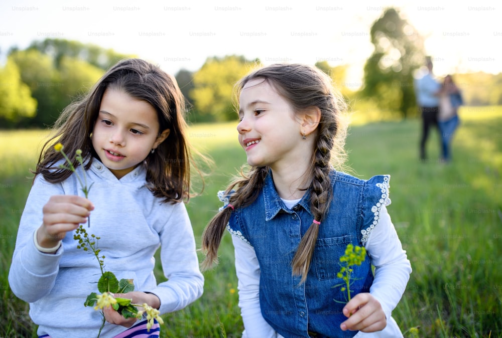 Front view portrait of two small girls standing outdoors in spring nature, picking flowers.