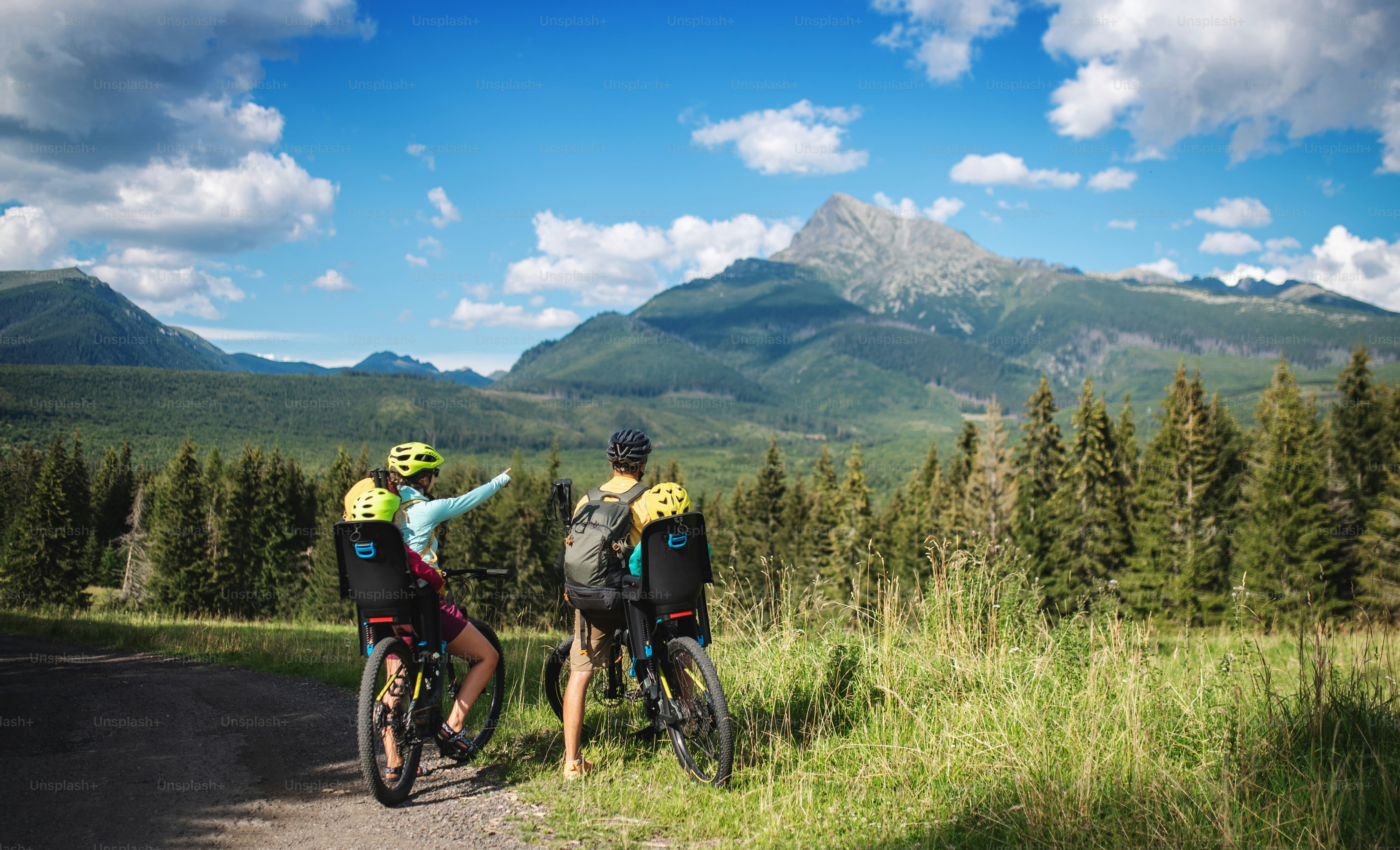 Rückansicht der Familie mit kleinen Kindern Radfahren im Freien im Sommer Natur, Ausruhen