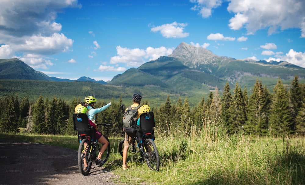 Vista trasera de la familia con niños pequeños en bicicleta al aire libre en la naturaleza de verano, descansando.