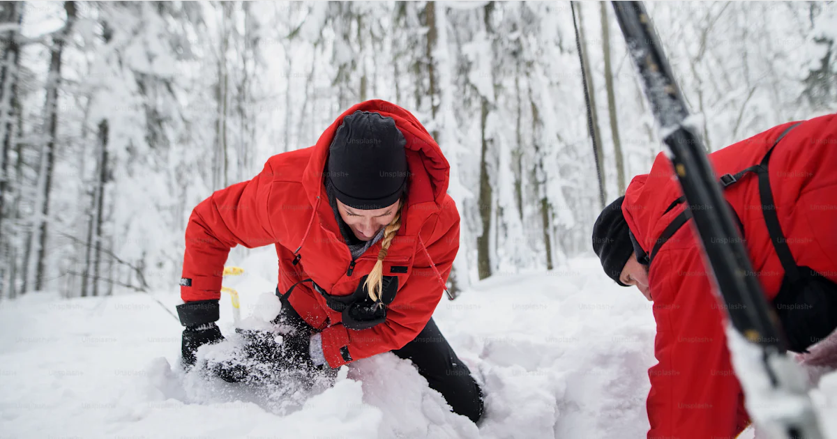 Mountain rescue service on operation outdoors in winter in forest ...