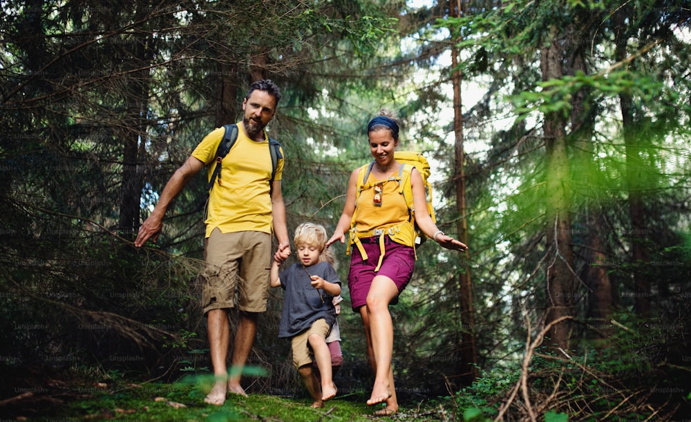 夏の自然の中で裸足で屋外を歩く小さな子供連れの家族、森林浴のコンセプト。