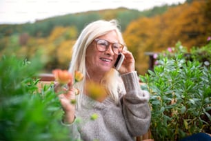 A senior woman sitting outdoors on terrace, using smartphone.