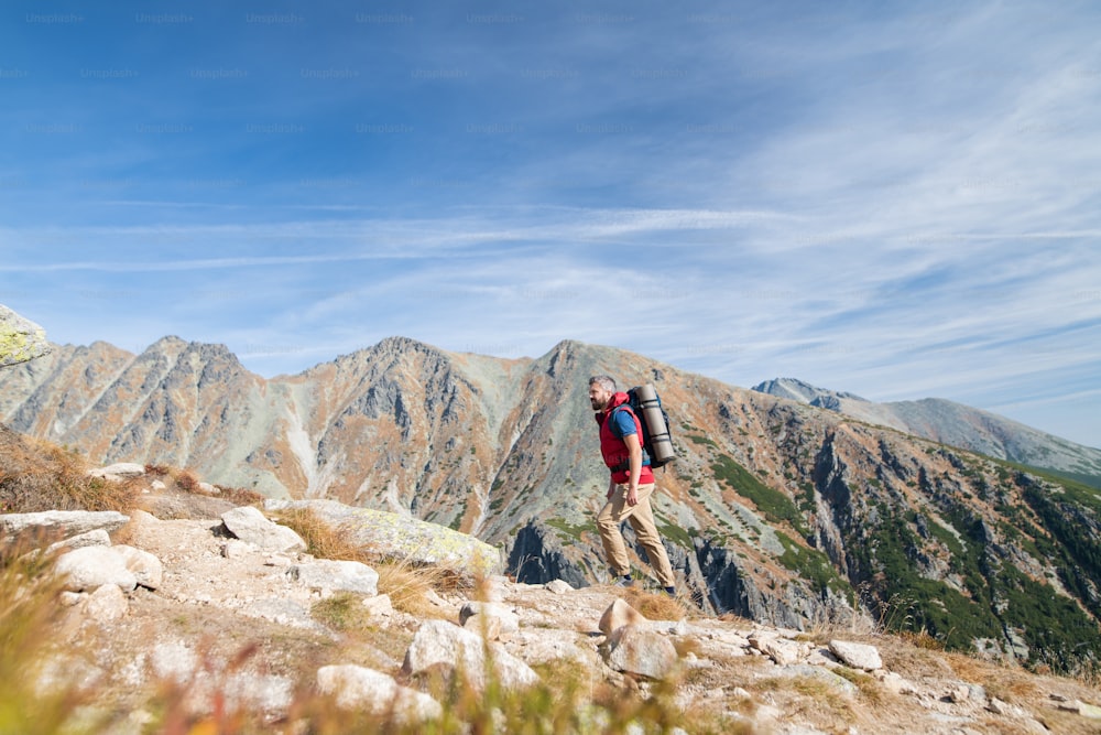 Homem maduro com mochila caminhando nas montanhas no verão. Espaço de cópia.