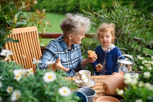 Senior grandmother with small granddaughter gardening on balcony in summer, eating snack.