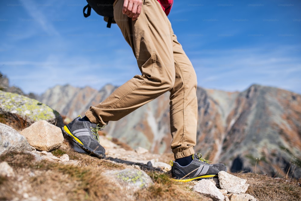 Legs of unrecognizable man hiking in mountains in summer, midsection.