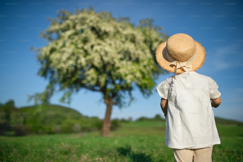 Rear view of small toddler girl walking on meadow outdoors in summer. Copy space.