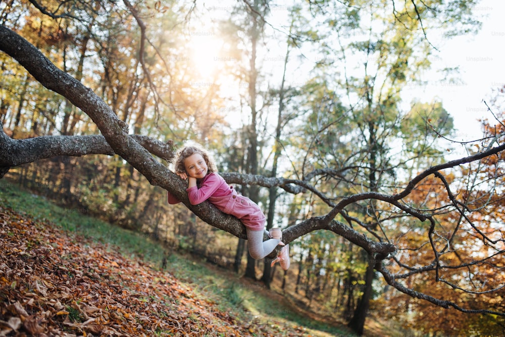 秋の森の木の枝に横たわり、楽しんでいる小さな女の子の肖像画。