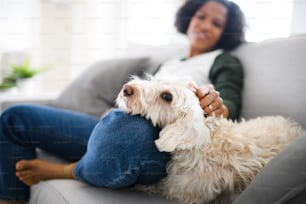 Un portrait de femme mûre heureuse assise à l’intérieur à la maison, jouant avec un chien.