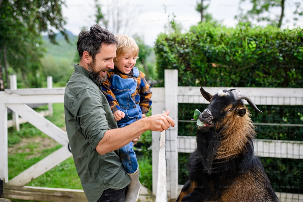 Retrato do pai com o filho pequeno feliz em pé na fazenda, alimentando a cabra.