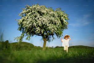 Portrait of small toddler girl walking on meadow outdoors in summer. Copy space.