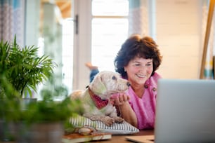 Senior woman with dog and laptop on the floor at home, relaxing.