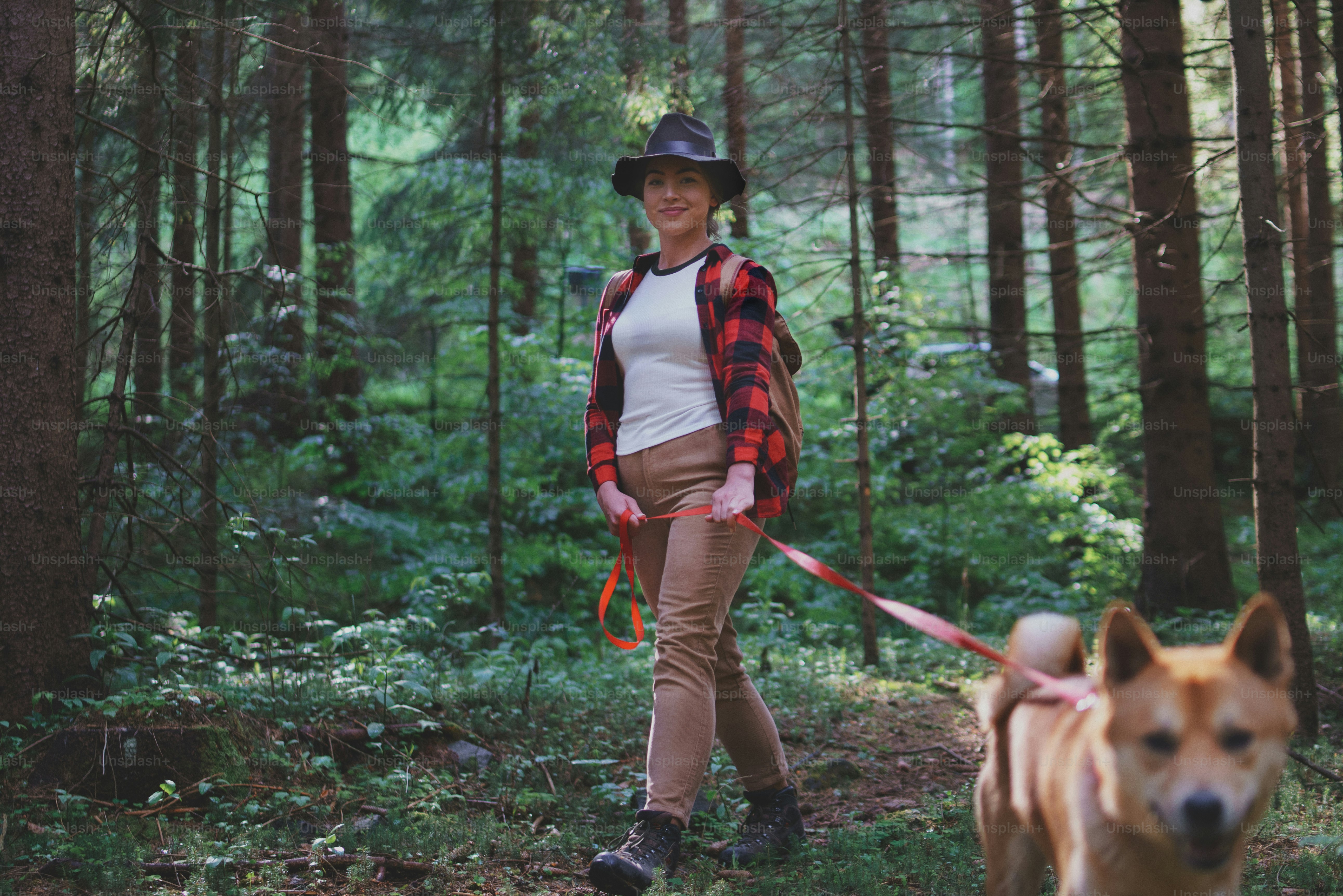 Foto Vista lateral de una mujer joven con un perro en un paseo al aire ...