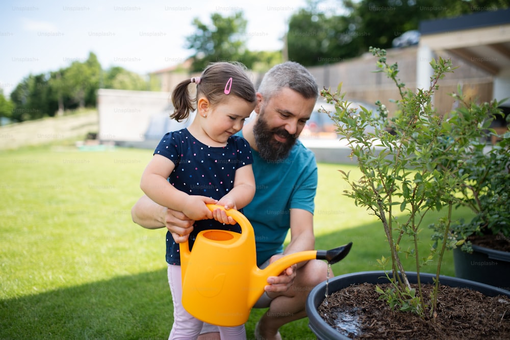 A father with small daughter outdoors in tha backyard, watering plants.
