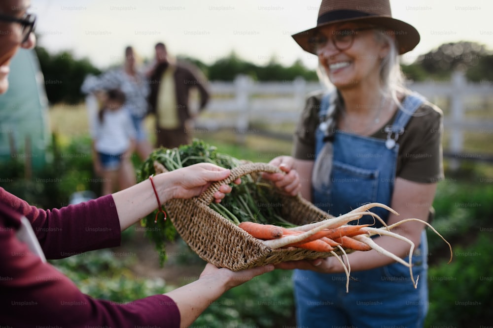 Felice contadina anziana che regala un cesto con verdure coltivate in casa a una donna irriconoscibile all'aperto presso la fattoria della comunità.