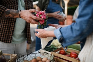 Eine Nahaufnahme von Männerhänden, die Bio-Gemüse im Freien auf dem lokalen Bauernmarkt kaufen.