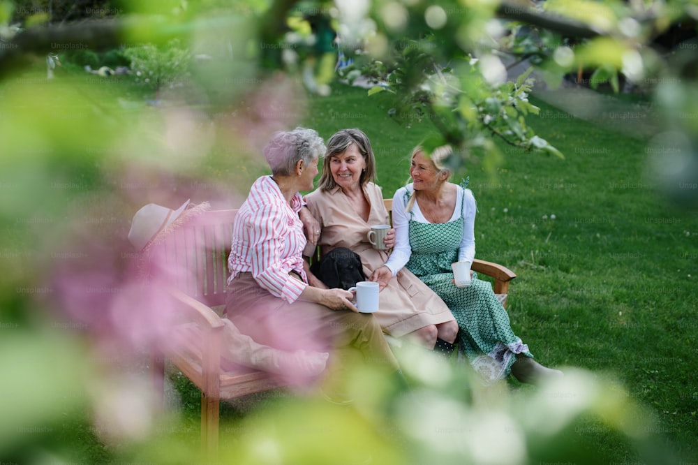 Amiche anziane felici sedute su una panchina e che bevono tè all'aperto in giardino, ridendo.