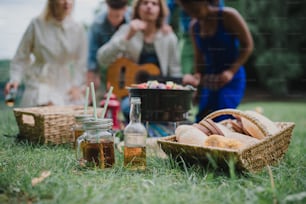 A close-up of picnic near lake in summer, young friends in background eating and playing guitar.