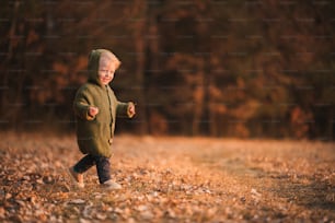 A happy little boy in knitted hoodie having fun on walk in autumn nature.