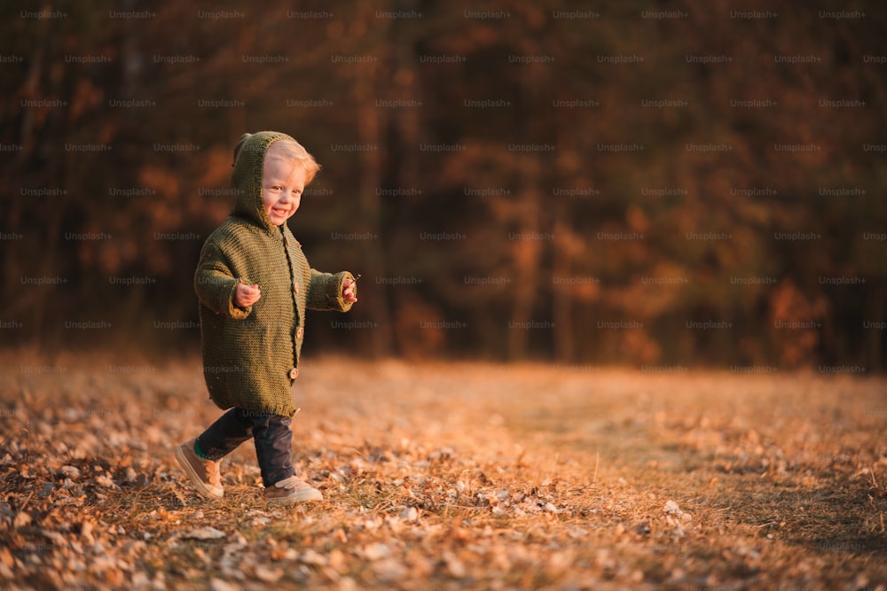 Um garotinho feliz de moletom de malha se divertindo em caminhada na natureza do outono.