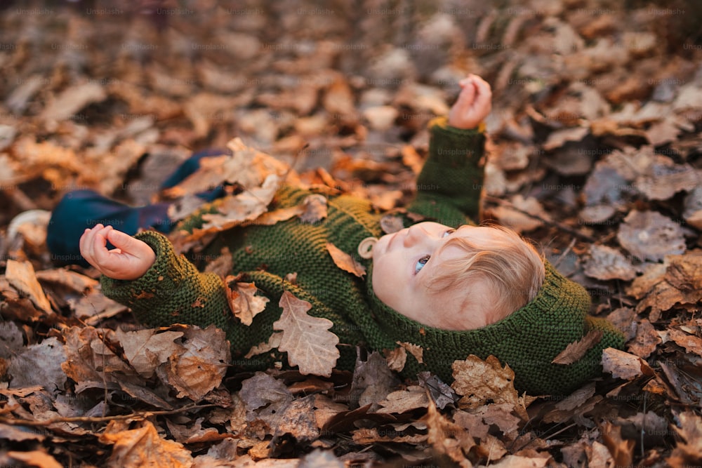 A little boy lying in dry leaves in nature, autumn concept