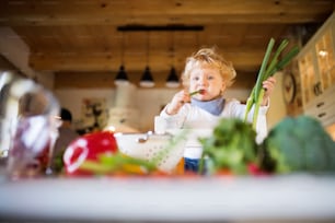 Unrecognizable young father with a toddler boy cooking. A man with his son making vegetable salad.