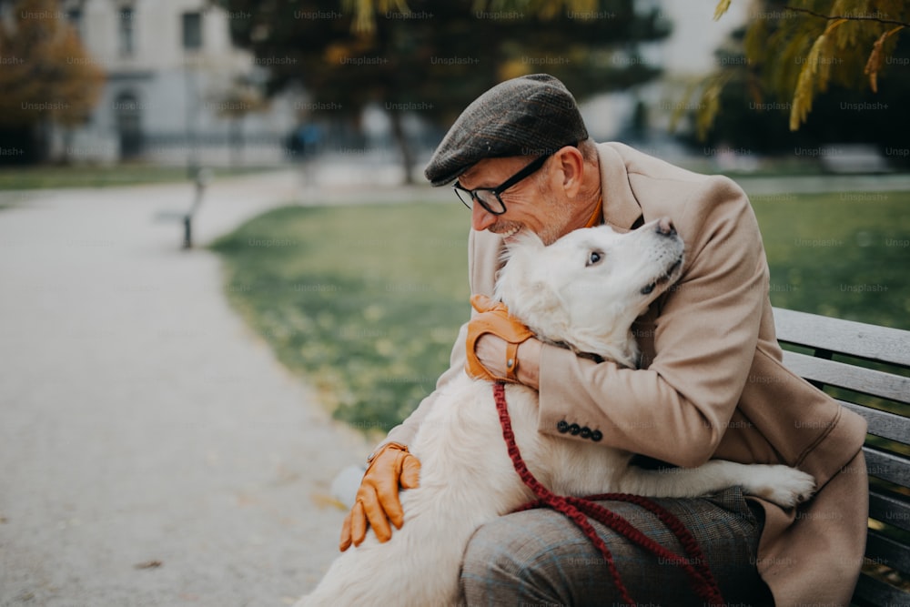 都会の公園で屋外のベンチに座り、犬を抱きしめる幸せそうな年配の男性。