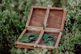 Two wedding rings in an opened wooden box on grass.