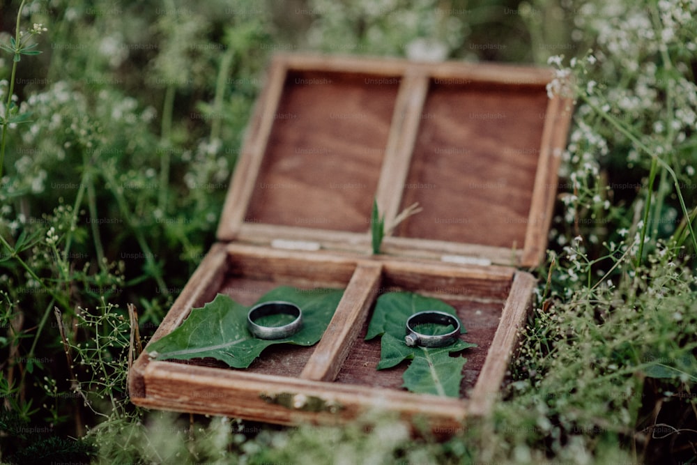 Two wedding rings in an opened wooden box on grass.