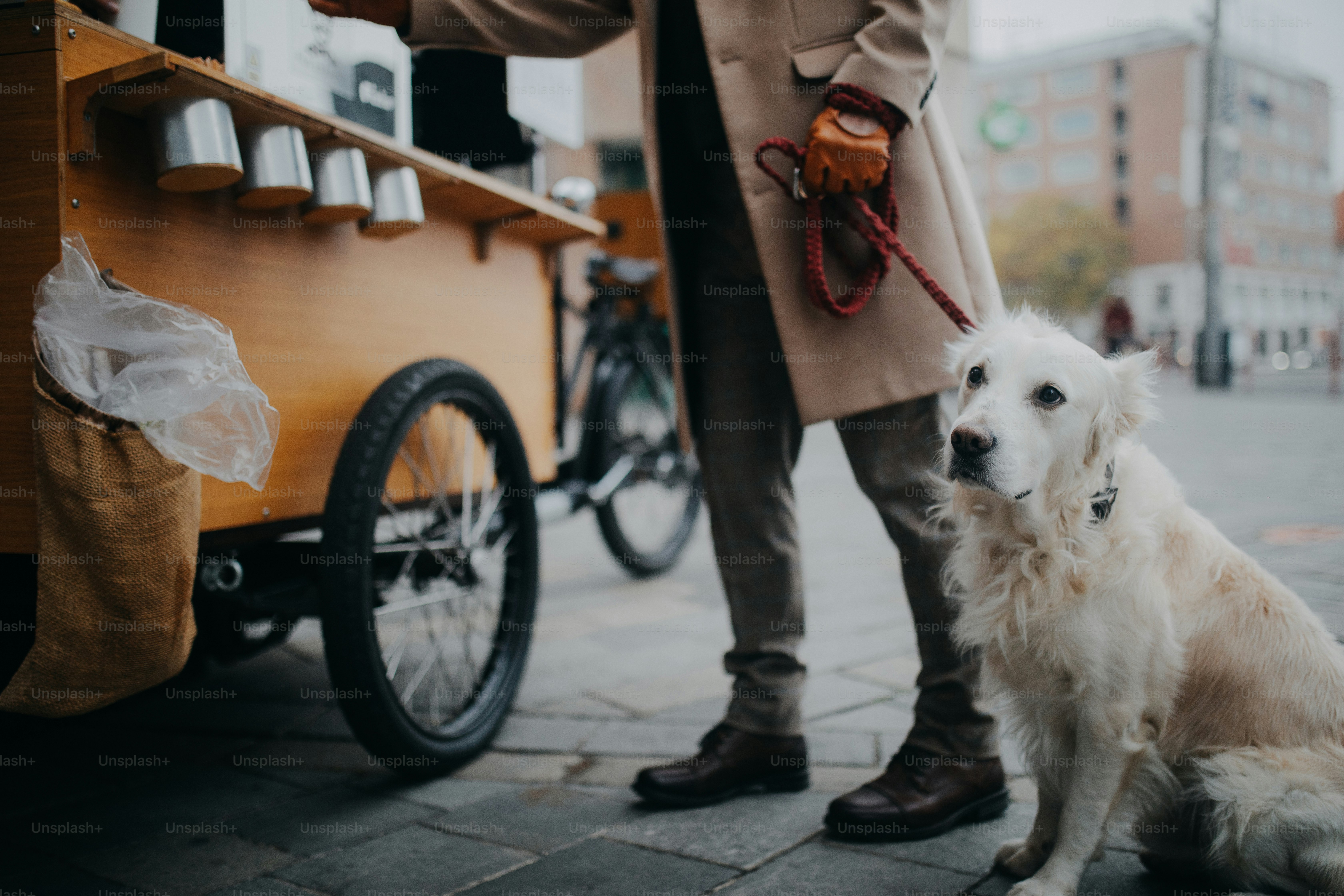 A low section of elegant senior man walking his dog and buiyng street food outdoors in city.