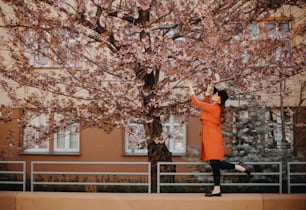 Un retrato de un hermoso árbol joven con un árbol floreciente en primavera en el parque.