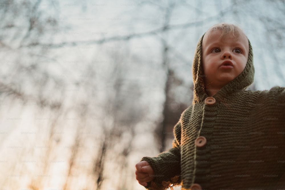 Une vue en contre-plongée d’un petit garçon curieux en promenade dans la forêt, concept d’automne.