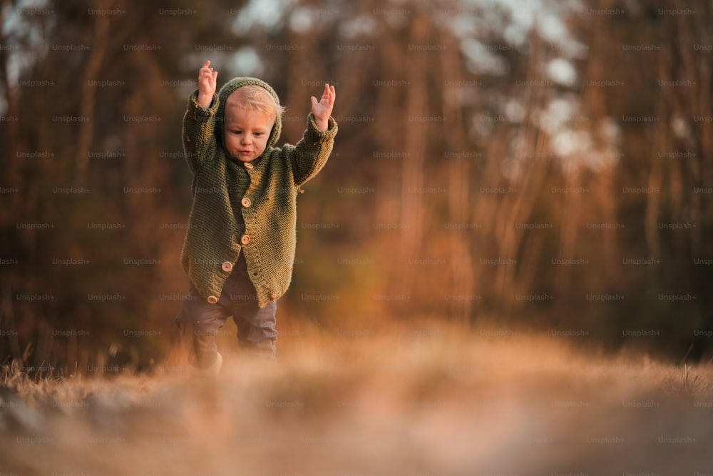 Ein fröhlicher kleiner Junge in gestricktem Kapuzenpulli, der Spaß beim Spaziergang in der herbstlichen Natur hat.