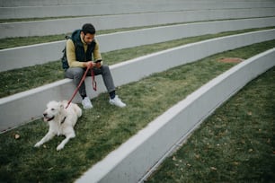 Um jovem feliz sentado na grama e usando smartphone com seu cachorro ao ar livre na cidade.