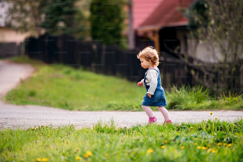 Side view of small toddler girl walking in the countryside in spring. Copy space.