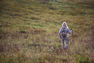 A rear view of senior woman with nordic pole on walk outdoors in nature. Copy space.