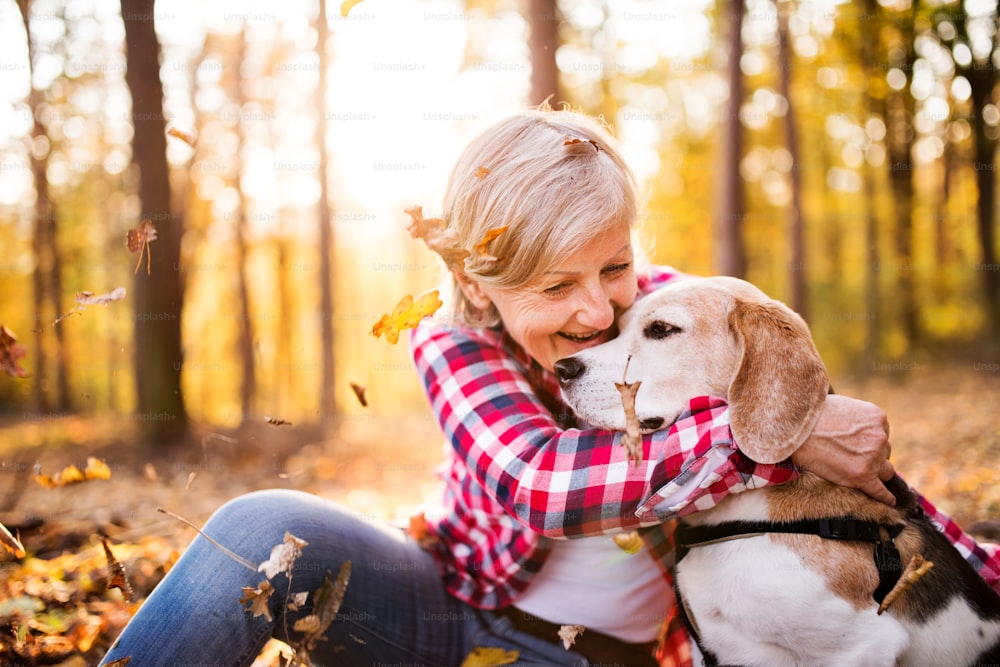 Active senior woman with dog on a walk in a beautiful autumn forest.