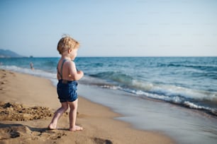 A cute small toddler boy with shorts walking on sand beach on summer holiday. Copy space.