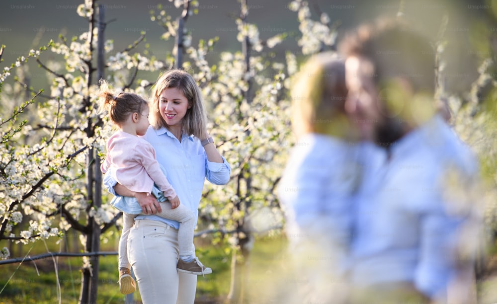 Vista frontal da família com duas crianças pequenas em pé ao ar livre no pomar na primavera.